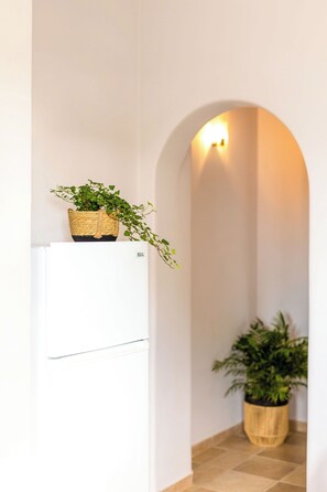 Junior Apartment, 1 Double Bed with Sofa bed | Private kitchen | Full-size fridge, stovetop, espresso maker, electric kettle - Sahara Beach Apartments (Naxos)