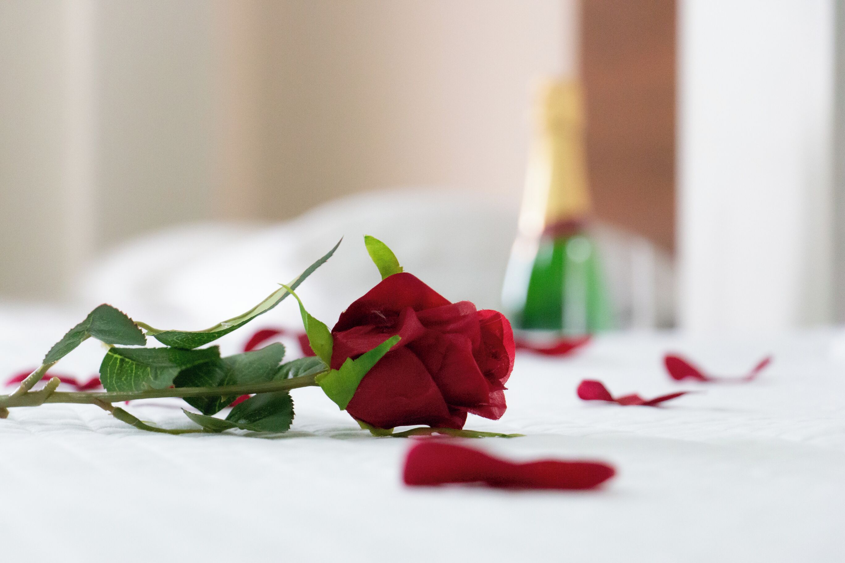 Una sola rosa roja sobre una superficie blanca con pétalos esparcidos, y una botella verde al fondo.