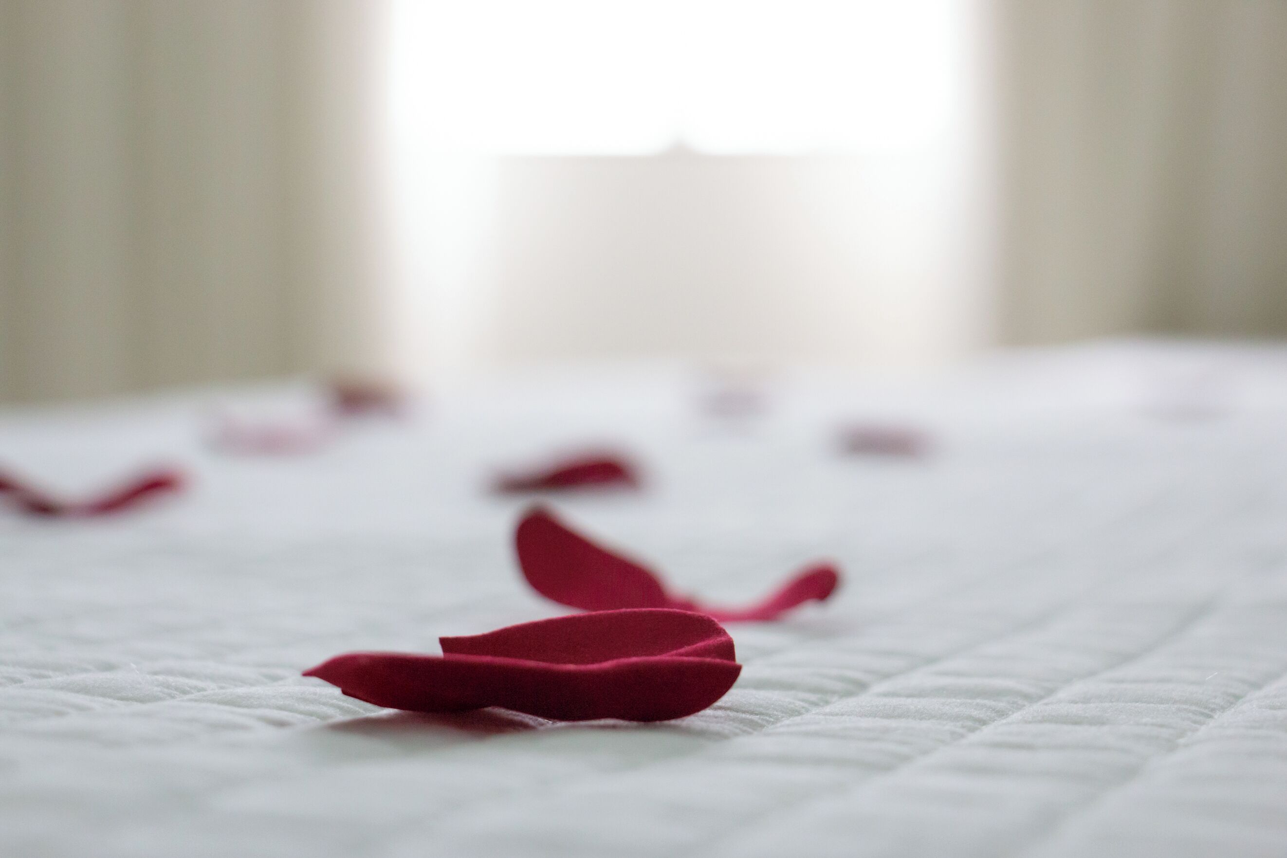 Cama com colcha branca e pétalas de rosa espalhadas.