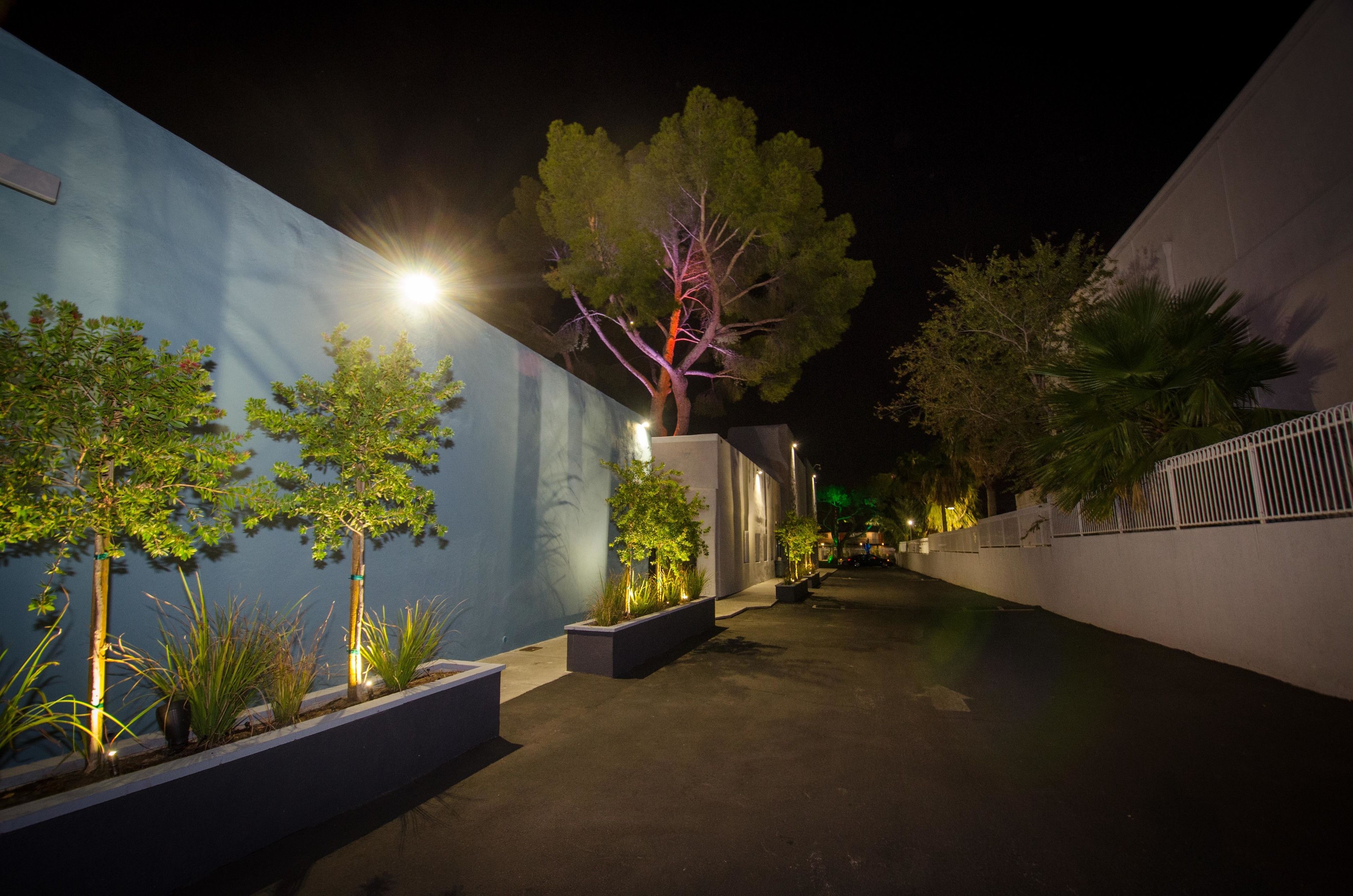 A nighttime outdoor corridor with planters and trees, illuminated by streetlights.