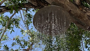 A tree with water droplets hanging from its branches, a metal structure, and a building with a balcony in the background. - SABAI (Cartagena)