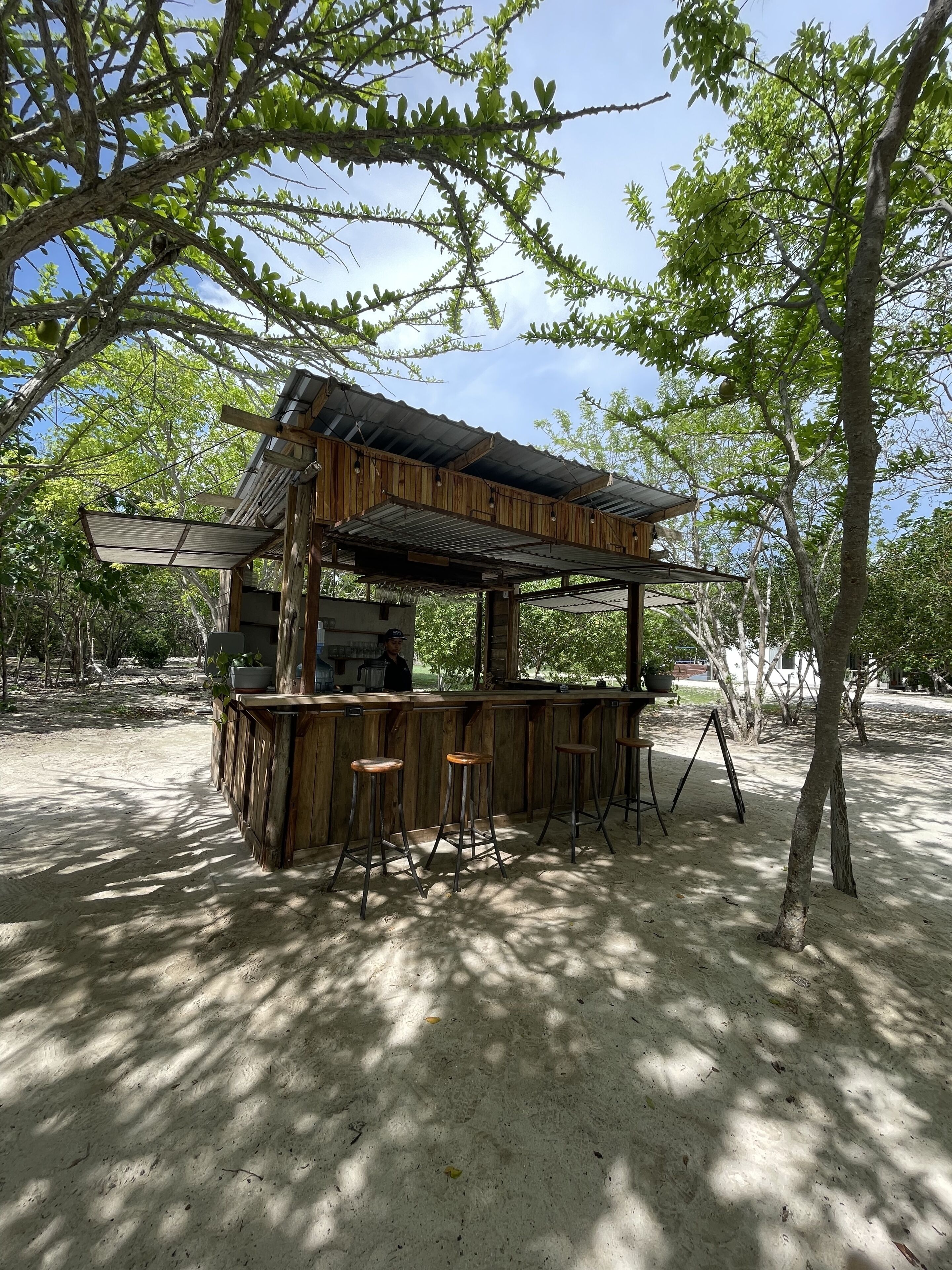 A rustic outdoor bar with a wooden structure, stools, and a metal roof, surrounded by trees and a sandy ground.