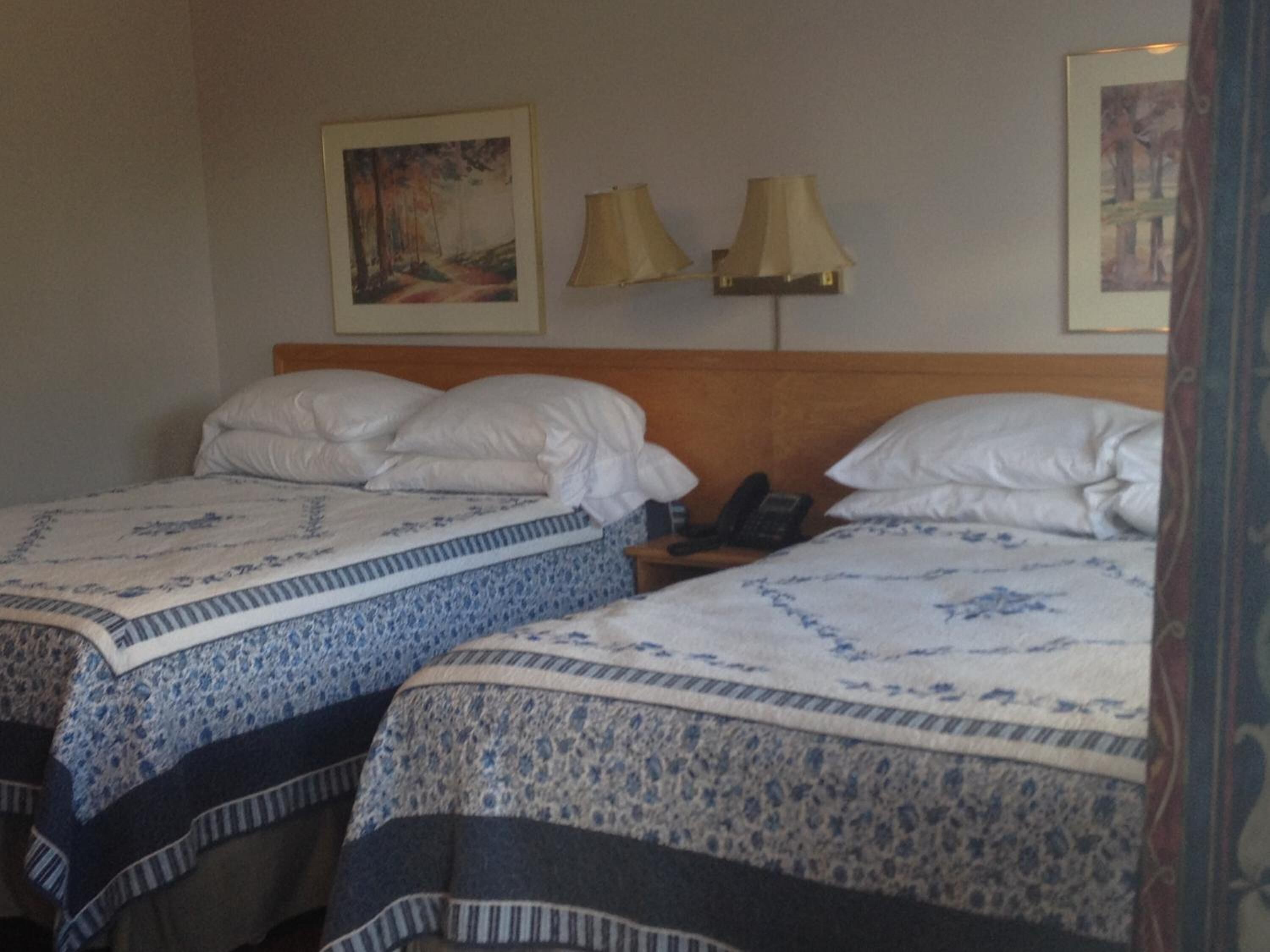 A hotel room with two beds, each with a patterned bedspread, a wooden headboard, a bedside table with a lamp, and a phone.