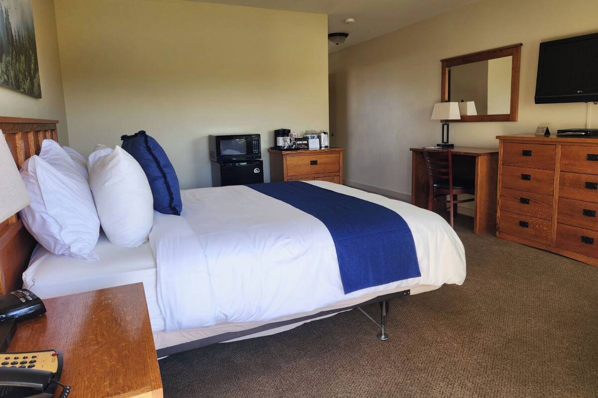 Una habitación de hotel con cama, escritorio con teléfono, televisor, cómoda y un cuadro en la pared.