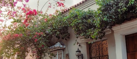 Extérieur