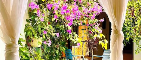 A covered outdoor area with a pool, featuring a pergola with white curtains and a flowering plant.