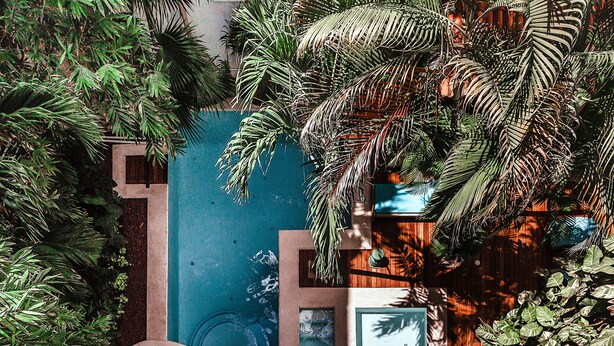 A rooftop pool surrounded by lush tropical plants. - Fabiola Condo Hotel (Playa del Carmen)