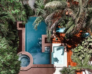 Una piscina en la azotea rodeada de exuberante vegetación tropical.