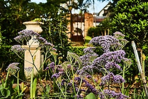 Tuin