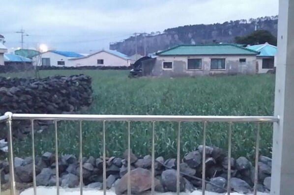 Deluxe Twin Room | Balcony - Nogorogi Pension (Seogwipo)