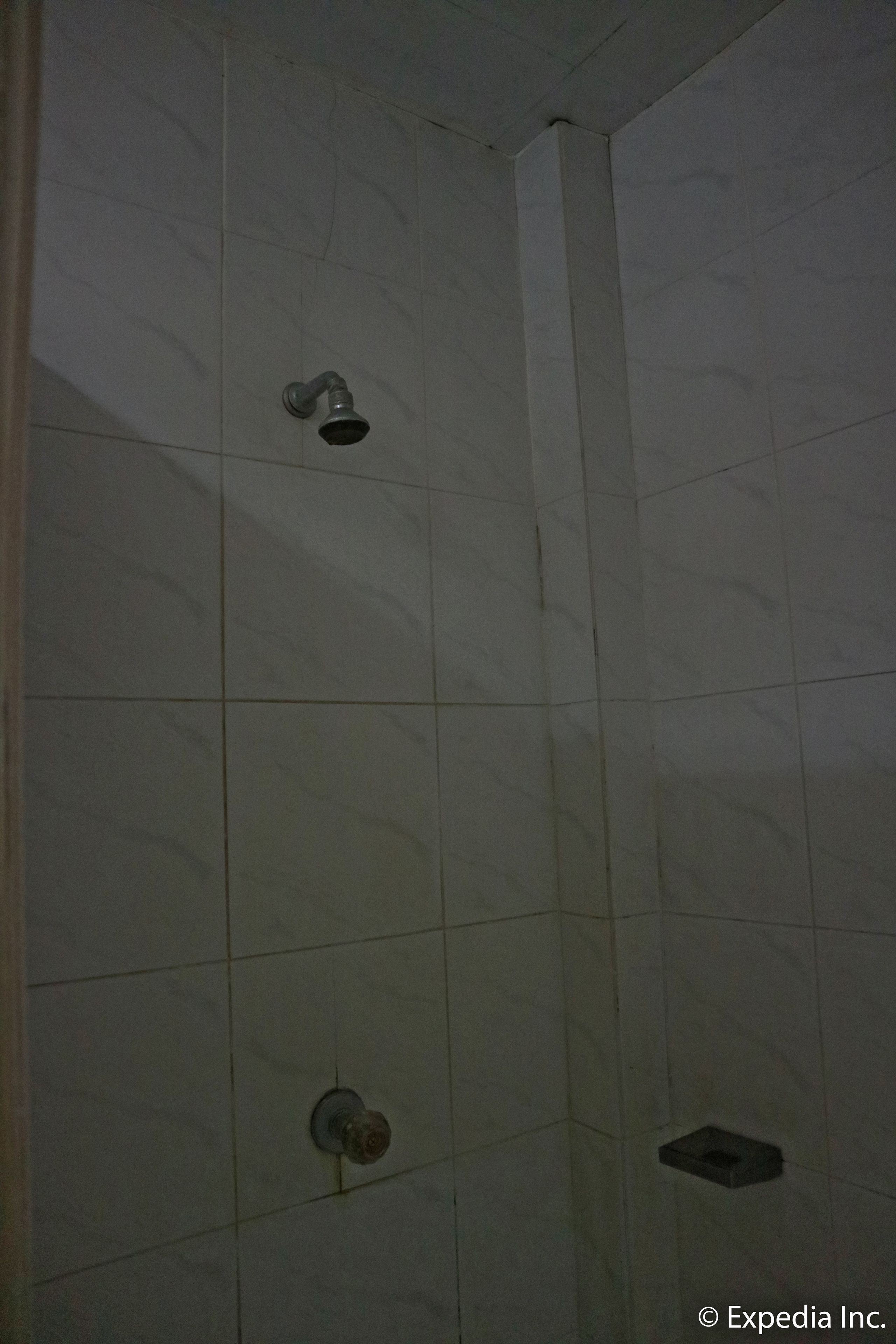Zona de ducha con azulejos, un cabezal de ducha manual y un grifo de pared.