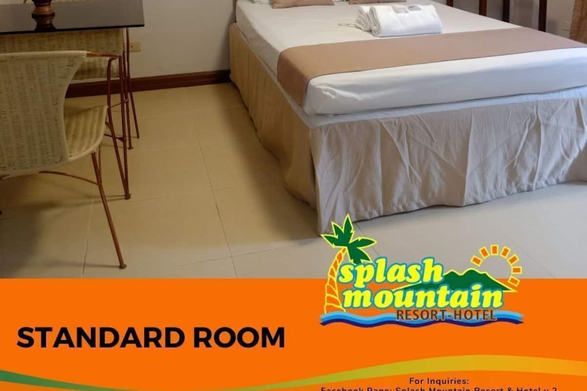 A standard room with a bed, bedside table, chair, and a small table with a plant.