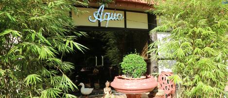 Una entrada al jardín con un letrero que dice "Aqua", rodeada de plantas de bambú y macetas decorativas.