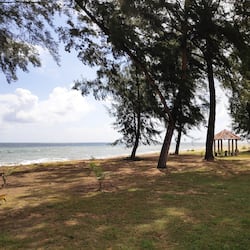 Área de parrillas y picnic