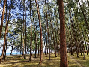 Uitzicht vanuit accommodatie