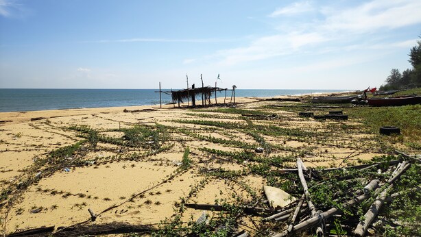 A beach with a structure made of wooden poles and a flag, surrounded by sparse vegetation and debris.