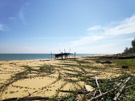 Di pantai, pasir putih 