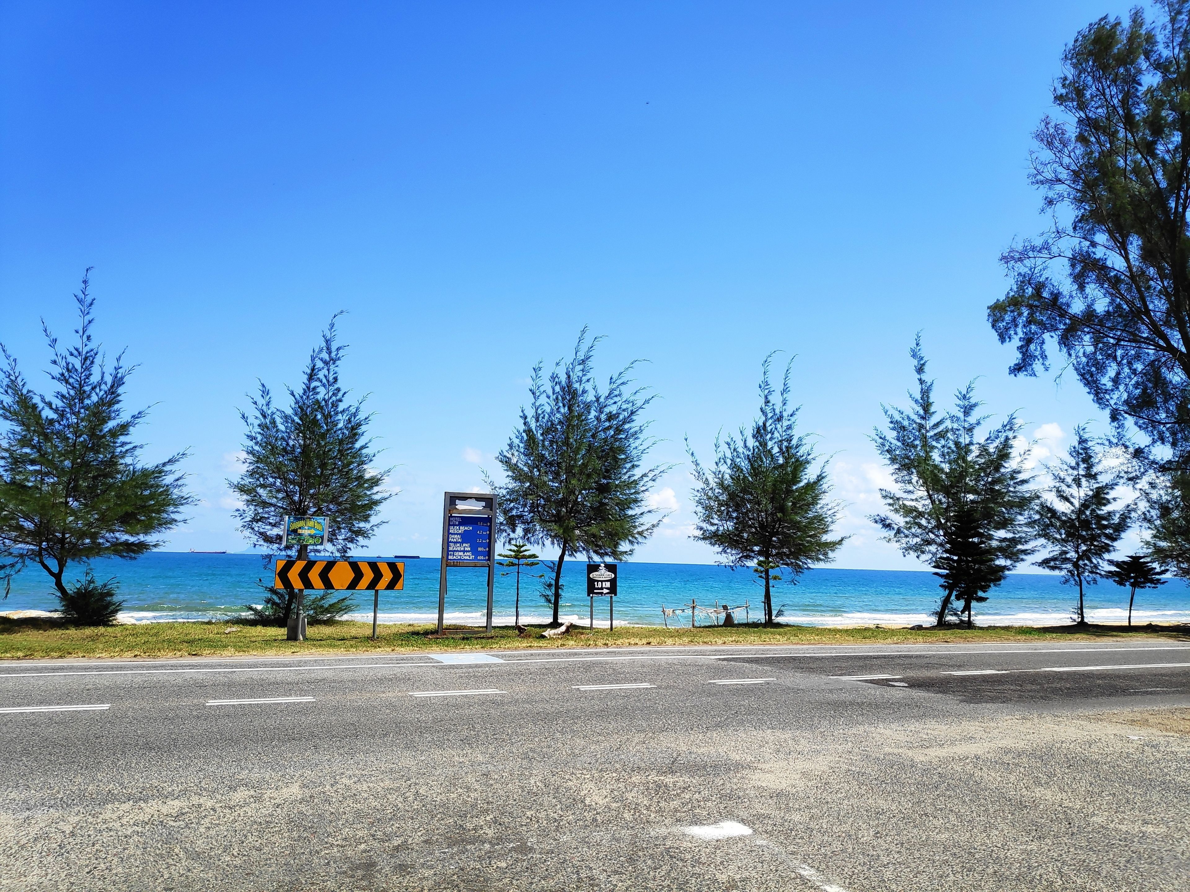 A road with a beach view, trees, and a signboard with directions.