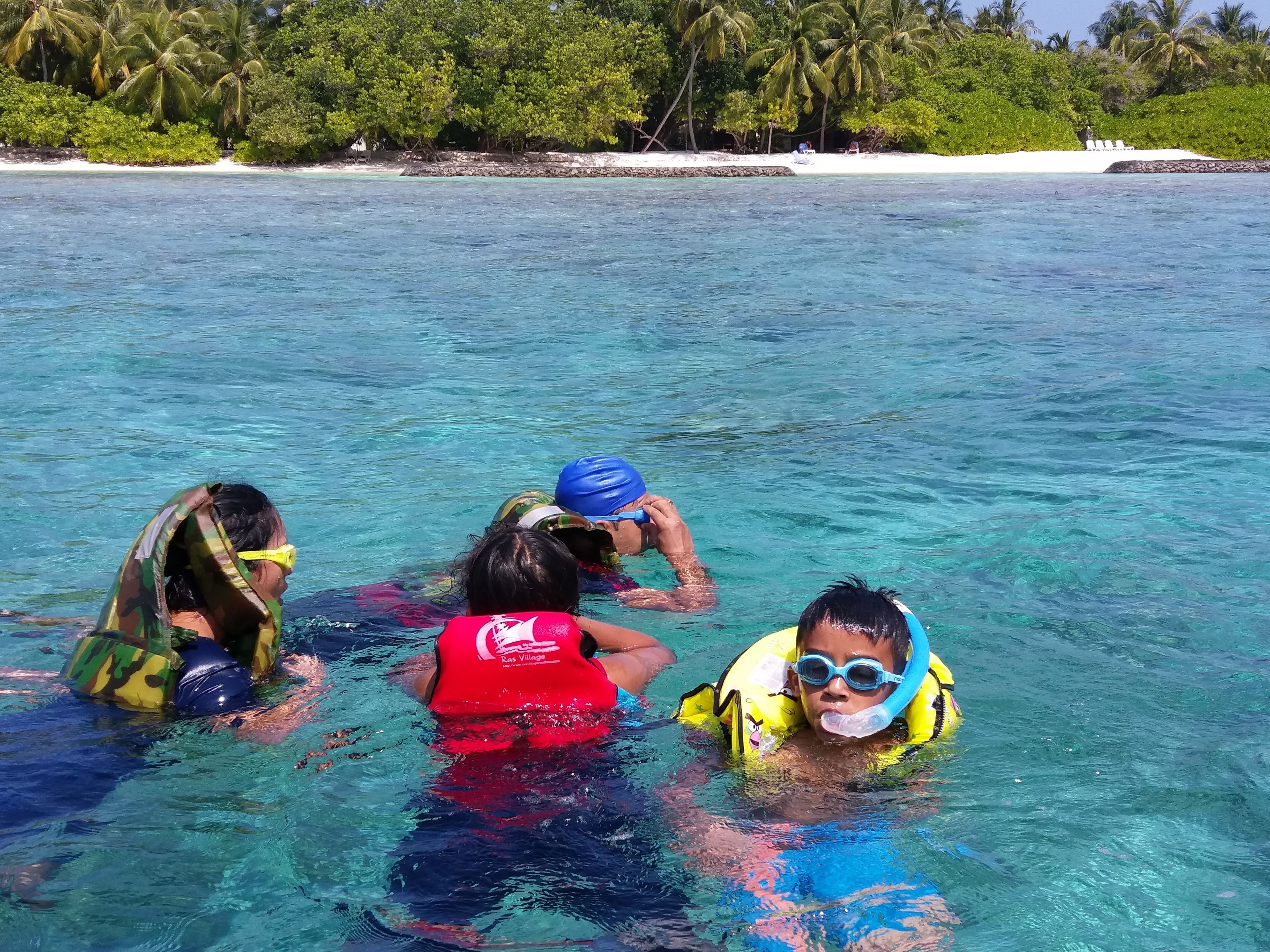 Three people in clear water, wearing life vests and goggles, with a beach and palm trees in the background.