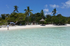 Una playa con agua turquesa cristalina, palmeras y una cabaña con techo de paja.