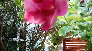 外观细节