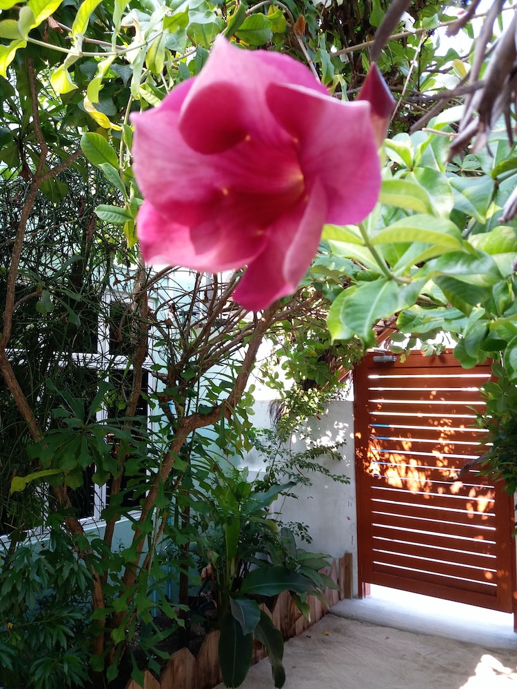 RAS RANA LODGE - Bild 4