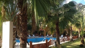 Zona de piscina con sillones de descanso, palmeras y una piscina azul cristalina.