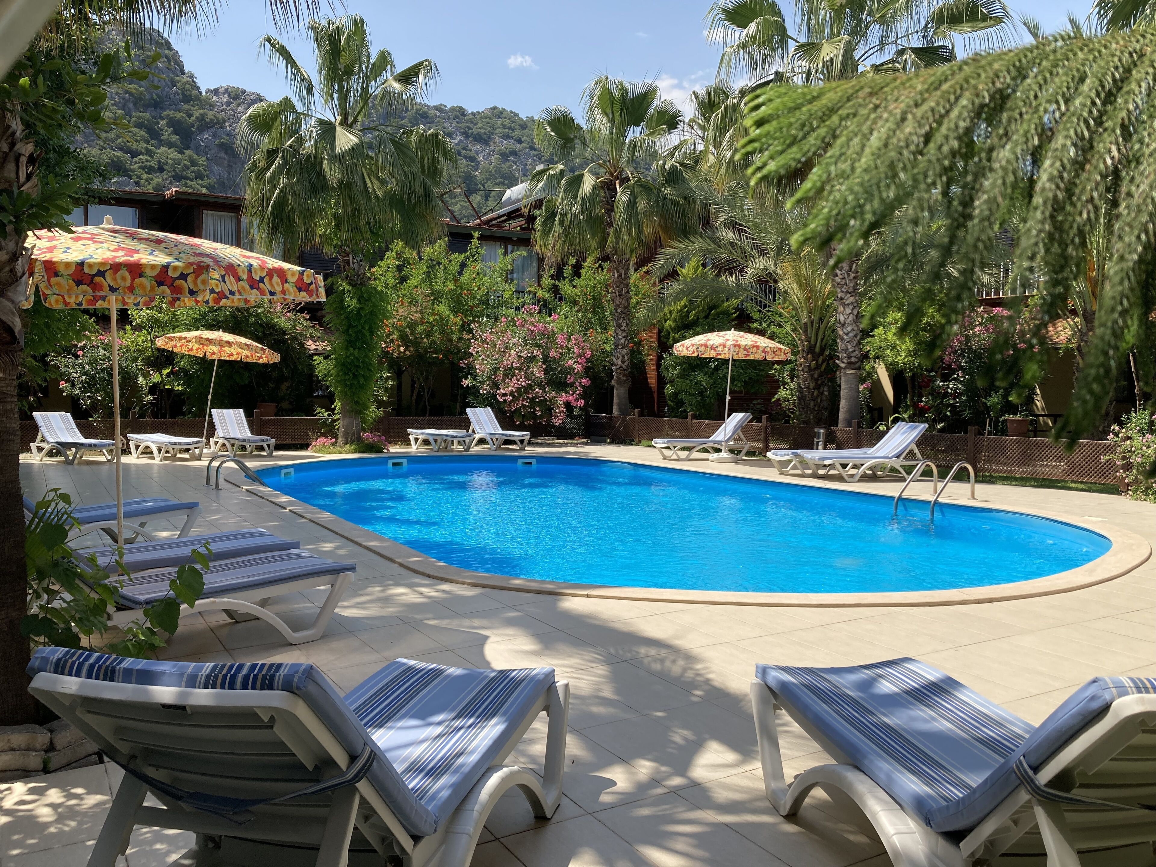 Alberca al aire libre, sombrillas en la alberca y camastros 