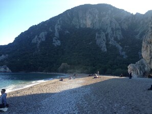 ชายหาด
