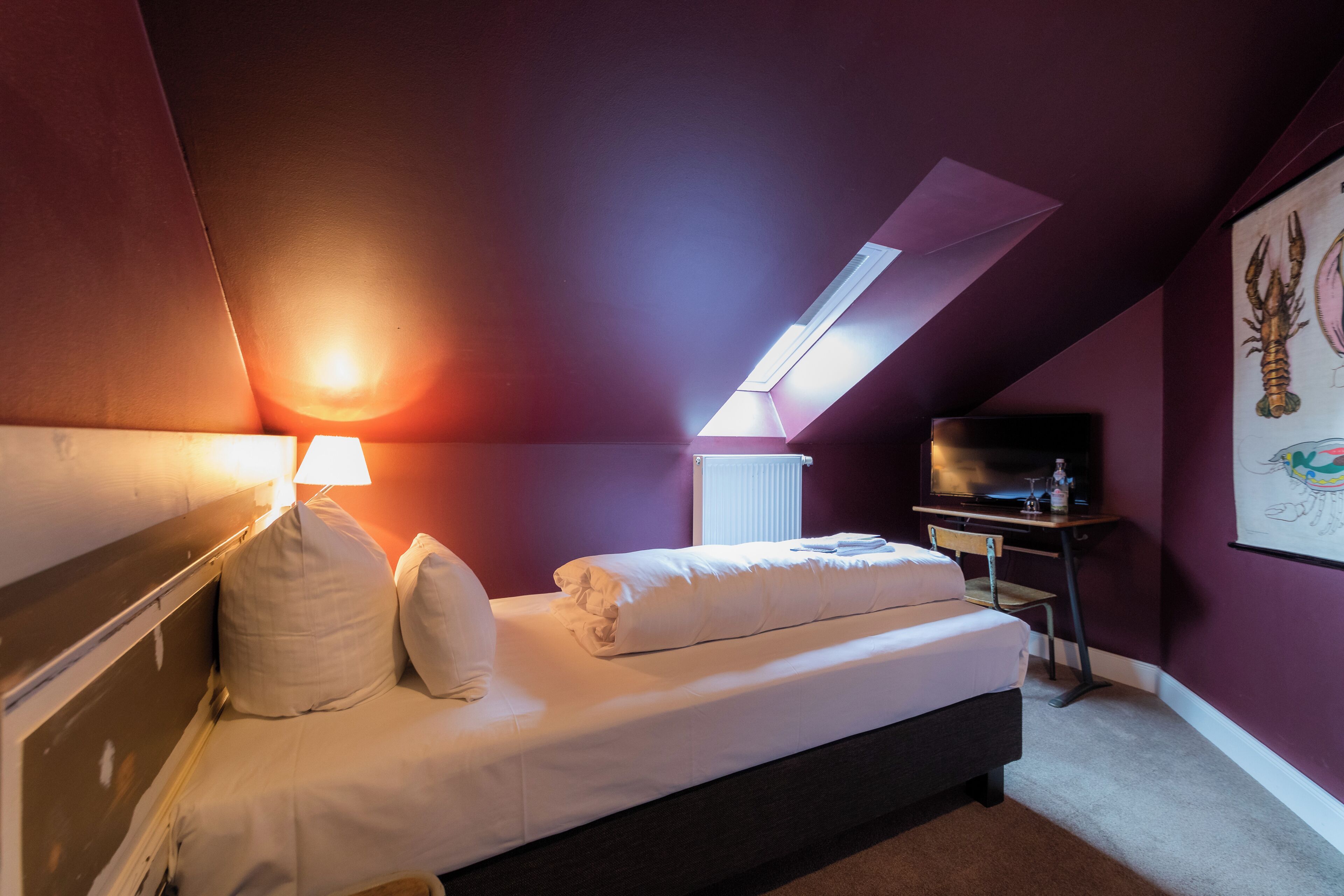 Un dormitorio con cama, escritorio, televisor y tragaluz.