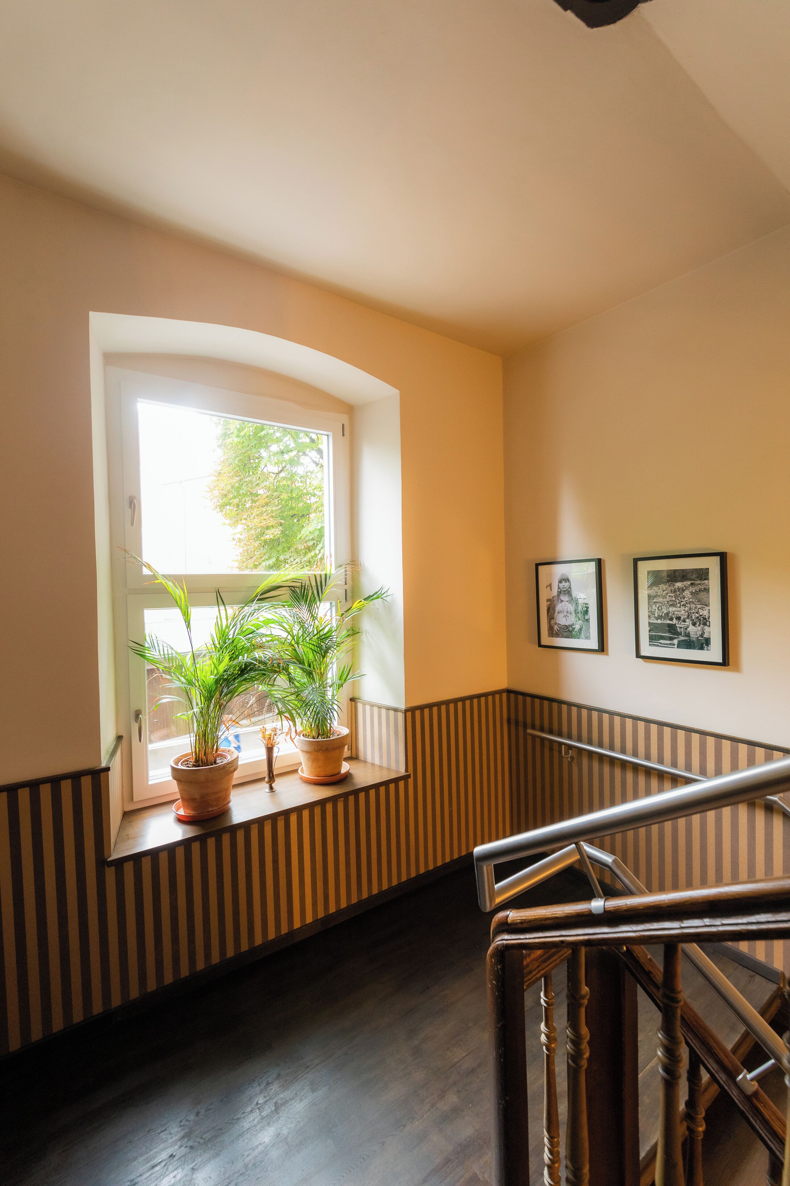 Photo - Hotel Luis