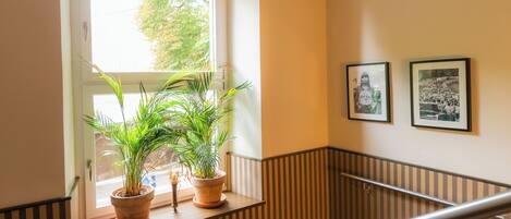 A staircase with a railing, a window with plants, and framed pictures on the wall.