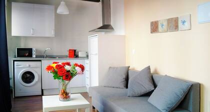 Down Town 13 Apartments