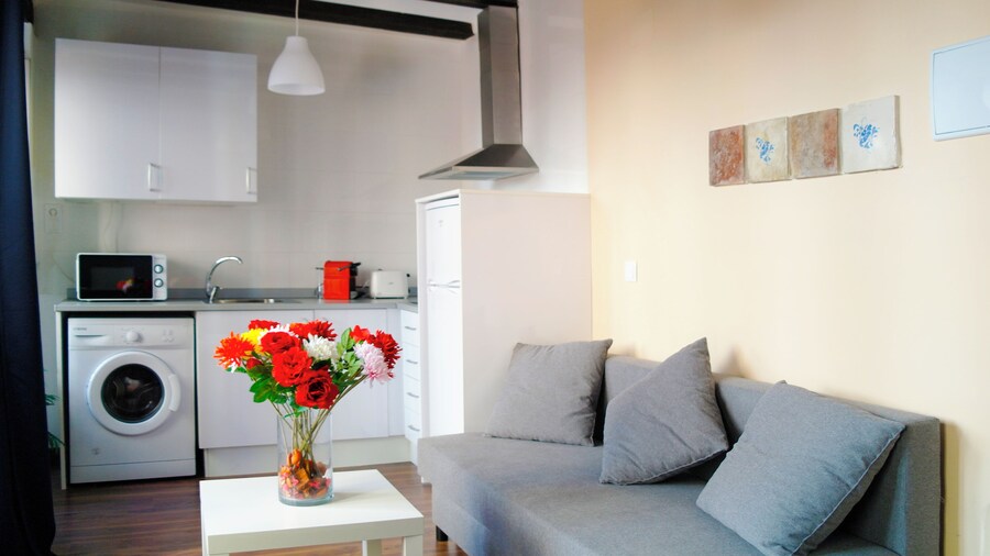 Down Town 13 Apartments