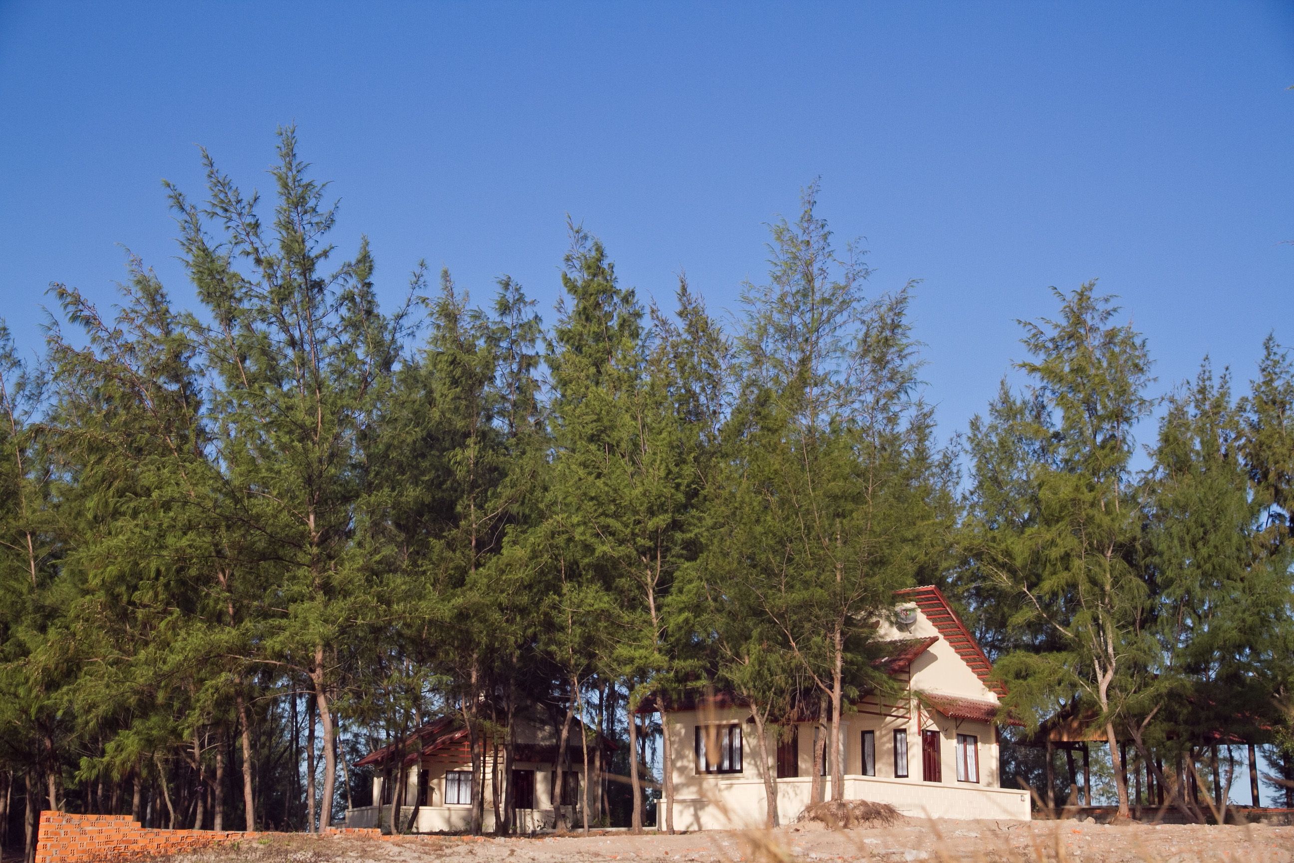 Bungalow Deluxe (Beach) | Ngoại thất