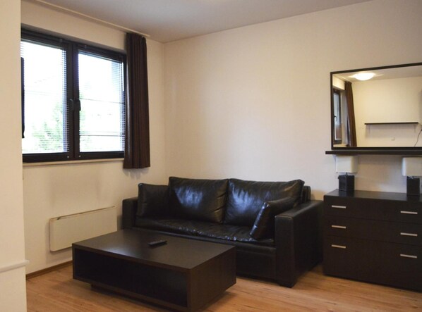 A small, modern living room with a black leather sofa, a wooden coffee table, and a black TV stand. A window with blinds and a mirror above the TV stand are visible.