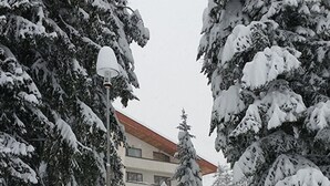 A building with a red roof, surrounded by snow-covered trees. - Hotel Elina (Chepelare)