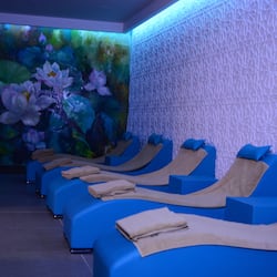 Sauna, steam room, Turkish bath/hammam, body treatments, facials