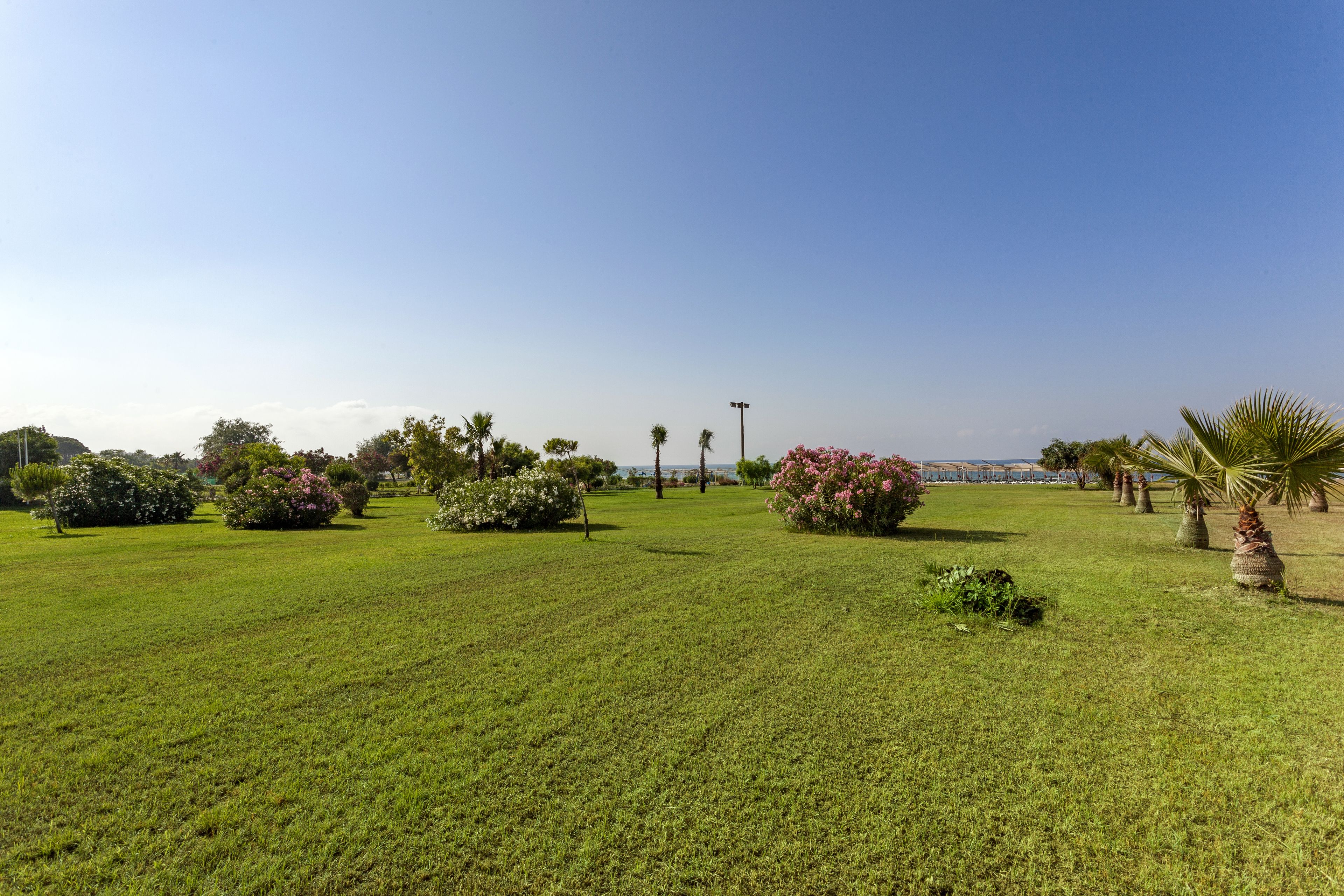 Foto - Glamour Resort & SPA