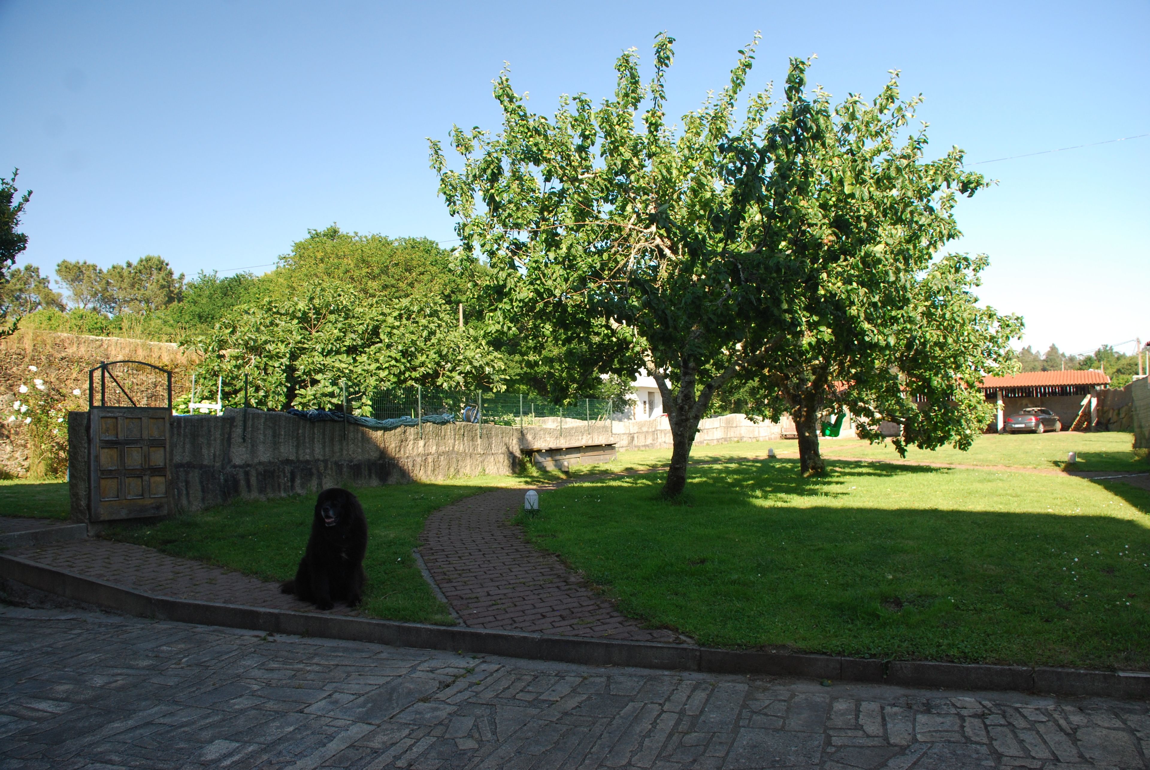 Photo - Hotel Rustico Casa Do Vento