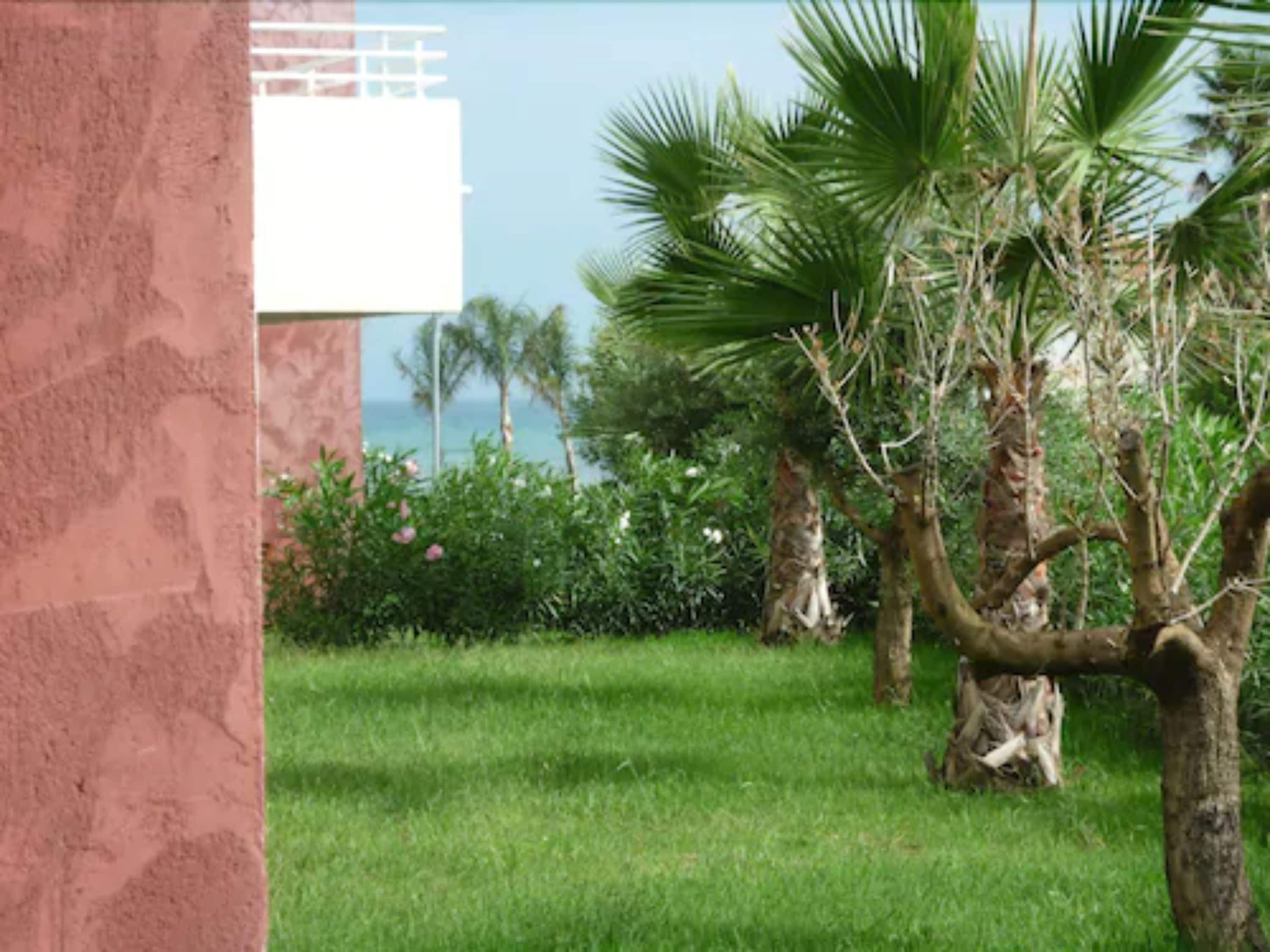 A lush green lawn with palm trees and a view of the ocean.