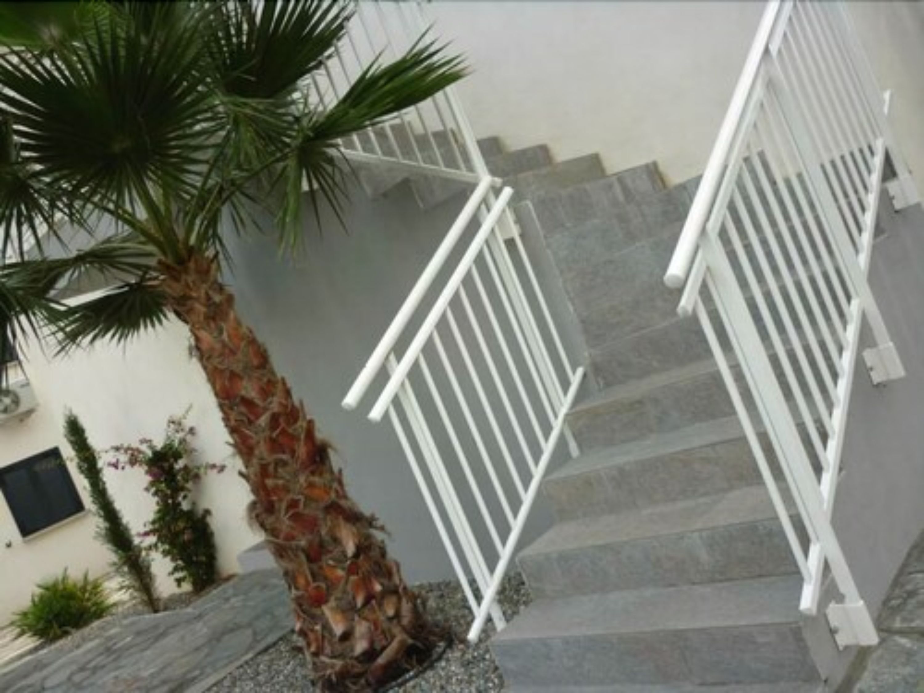 Una escalera con barandillas blancas, una palmera y el frente de un edificio.