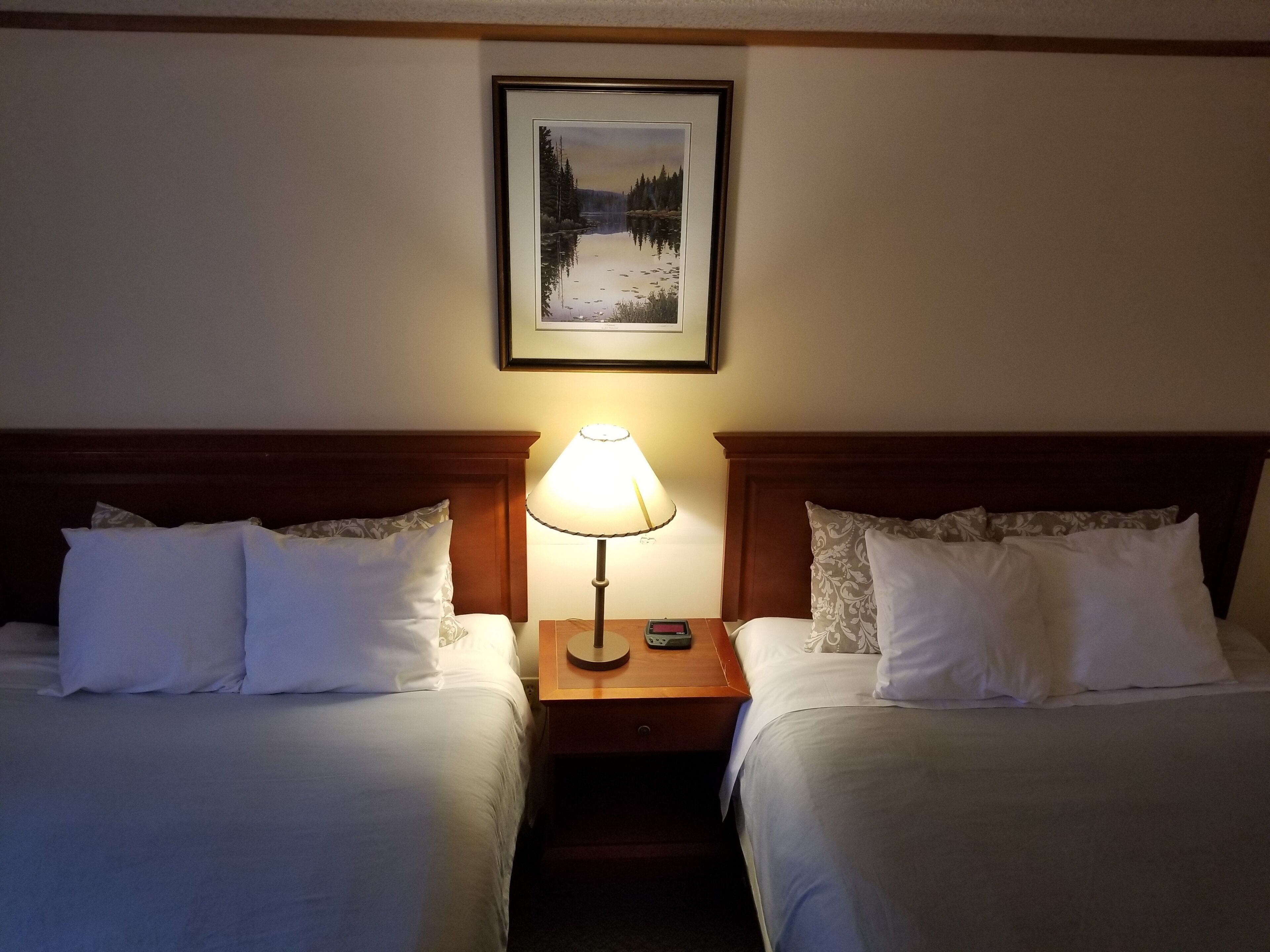 Habitación doble | Escritorio, wifi gratis y ropa de cama 