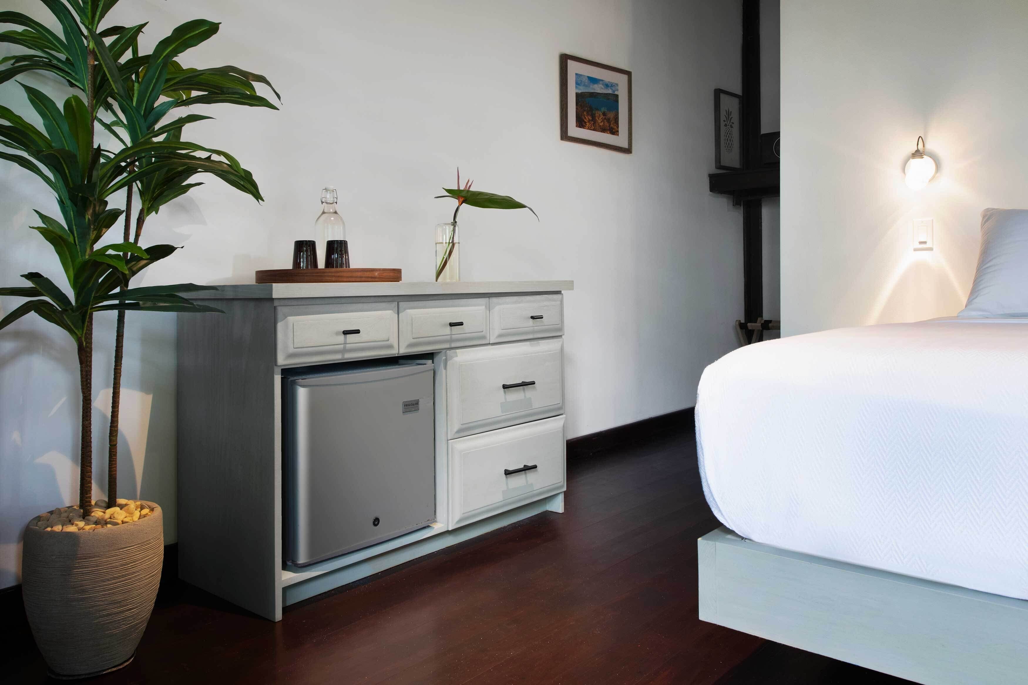 Habitación de hotel con cama, cómoda con cajones, planta en maceta y lámpara fijada a la pared.
