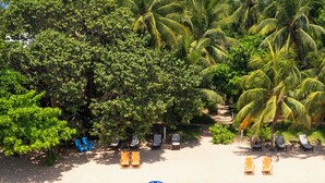 Une jetée en bois menant à une plage bordée de palmiers et dotée de chaises longues.