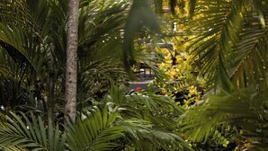 Une personne descend un escalier en pierre, entourée d’une végétation tropicale luxuriante.
