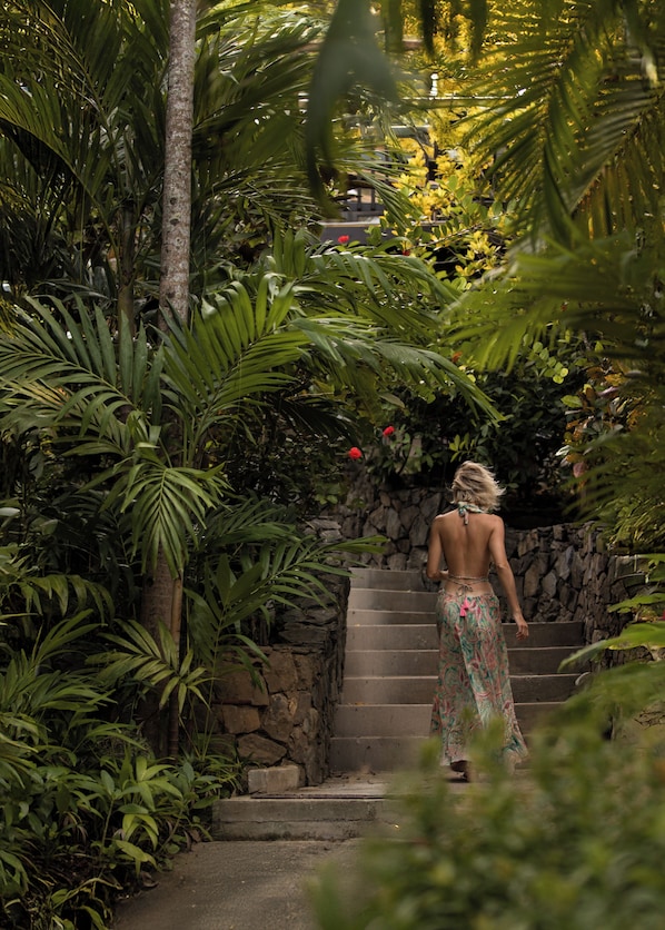 Reception - Puerta Azul (Roatan)
