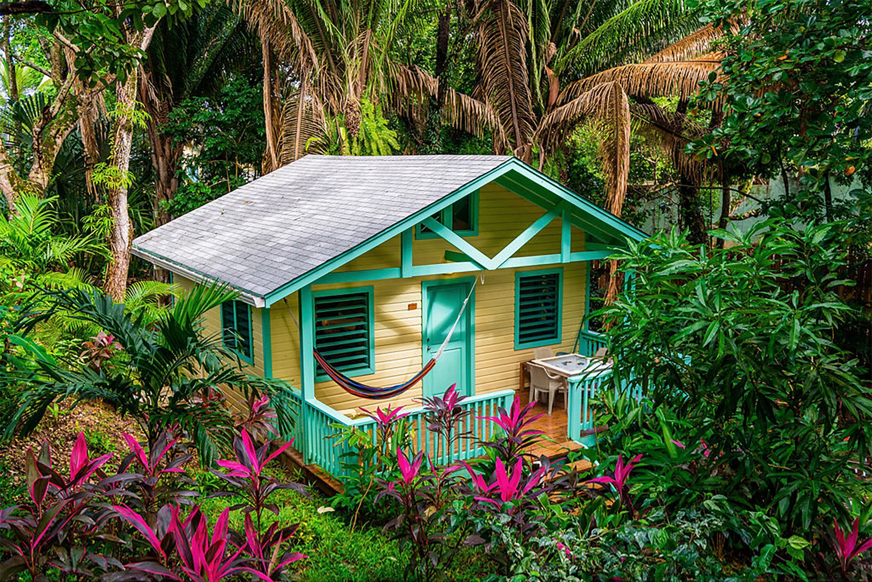 Garden Villa | View from room