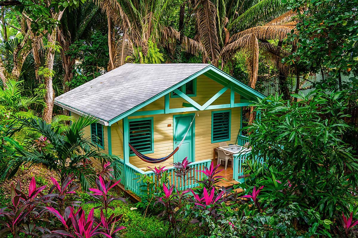 A small, single-story house with a thatched roof, surrounded by lush tropical vegetation.