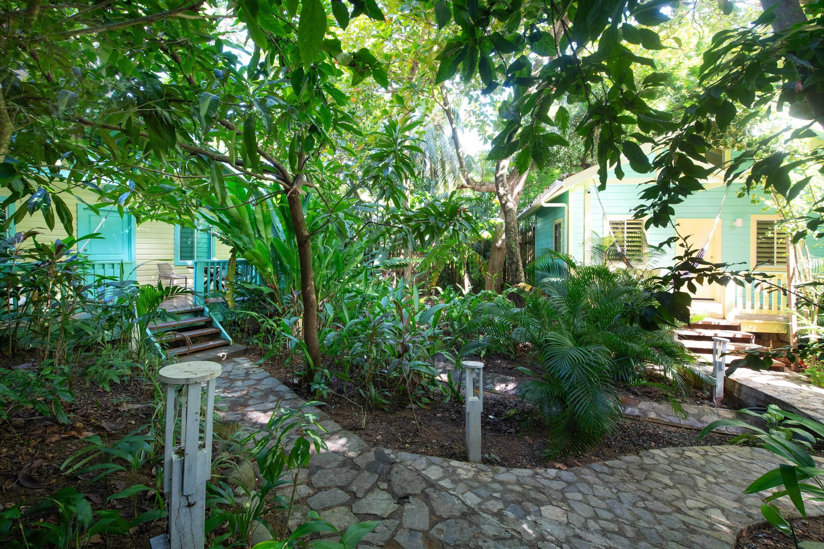 A garden with a stone pathway, lush greenery, and a building with blue shutters.